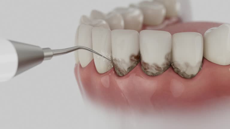 Reliable Dental contractor in Templeton, CA by Dentist Open Now